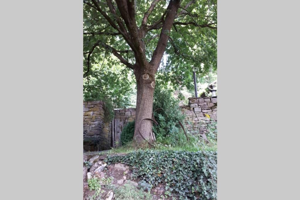 Eine Gemuetliche Ferienwohnung Mit Garten Bad Karlshafen Exterior foto